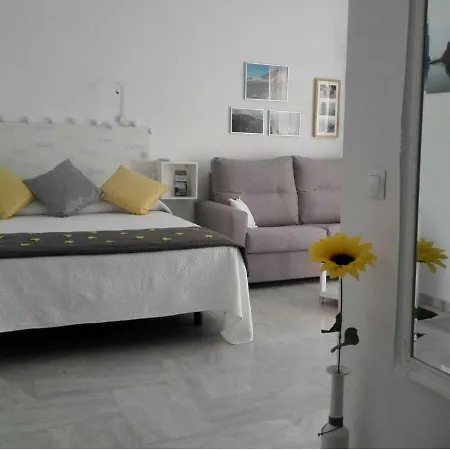 Coqueto Estudio Montemar Torremolinos
